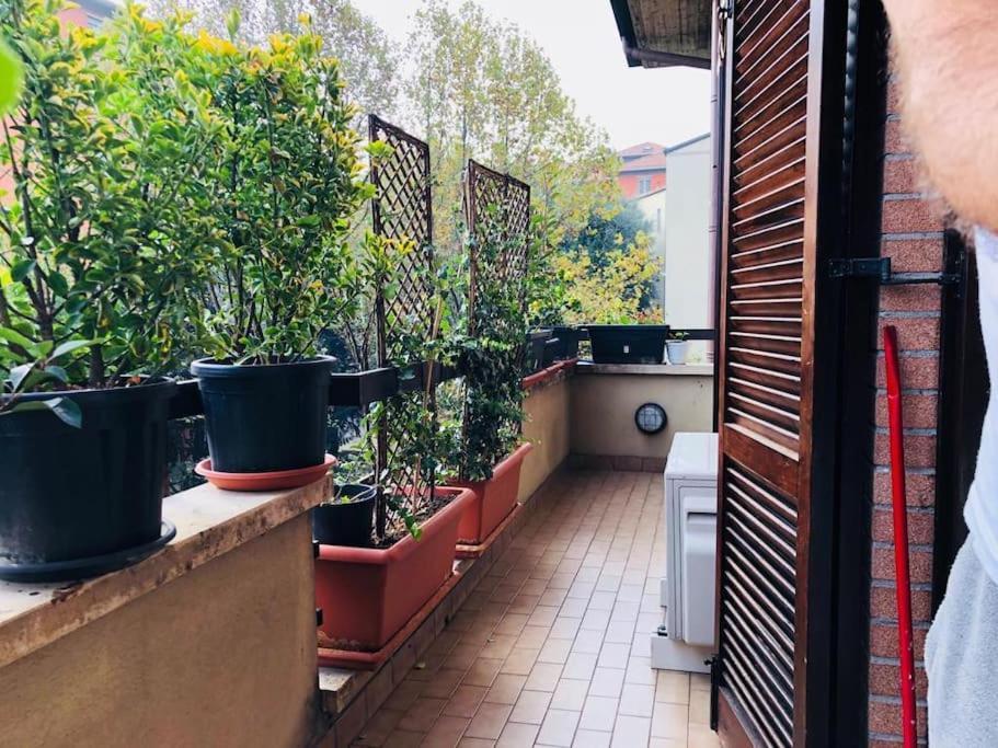 Ketty House B&B - Policlinico Di Monza, U-Power Stadium Dış mekan fotoğraf