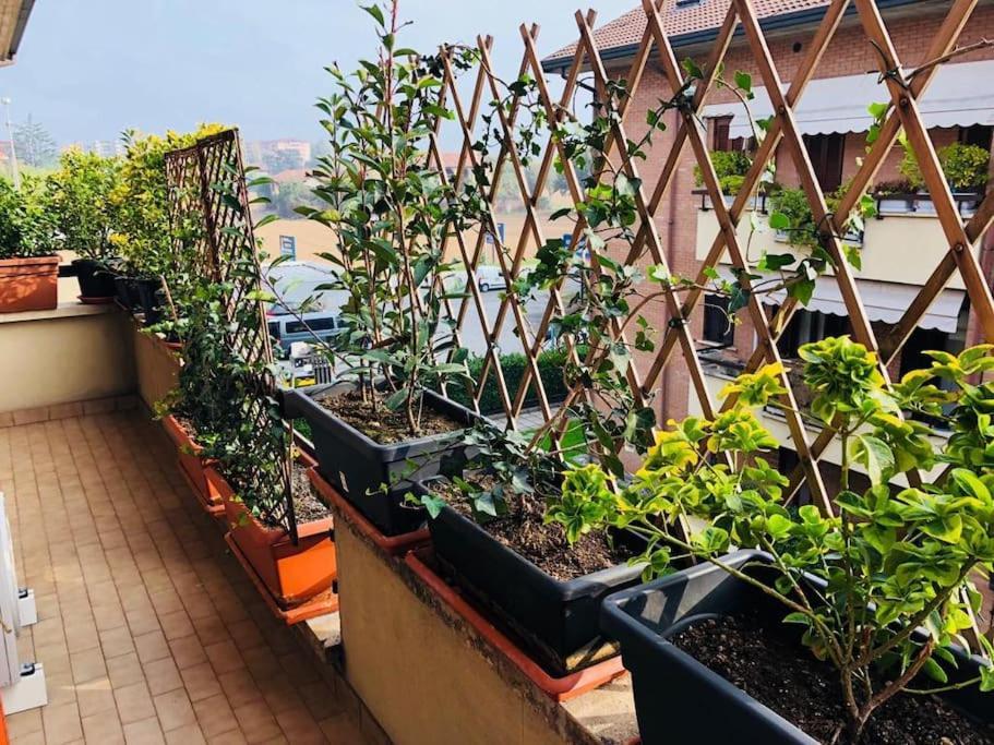 Ketty House B&B - Policlinico Di Monza, U-Power Stadium Dış mekan fotoğraf